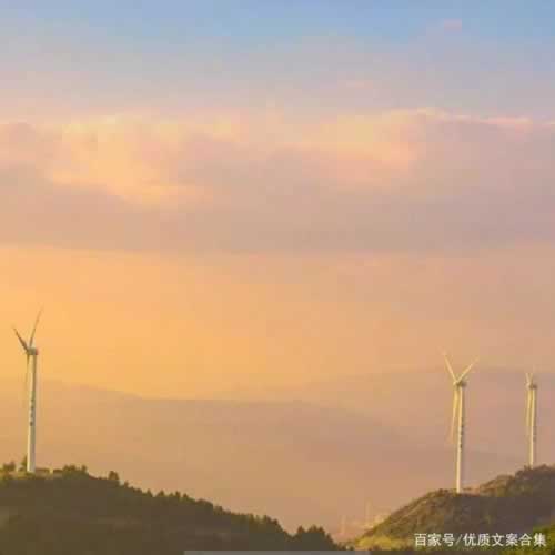 在黑网赢钱提示风控审核不通过大家如何挽回(图)