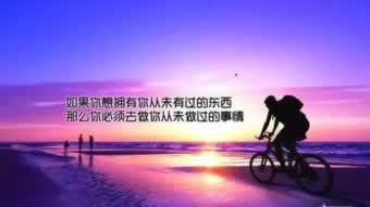碰到风控审核出款不成功怎么做才好(图)