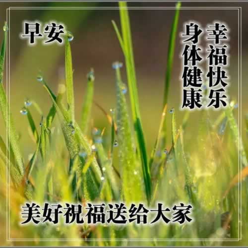 网络平台被黑提款不了客服说涉嫌恶意刷水不给出款 破解对策(图)