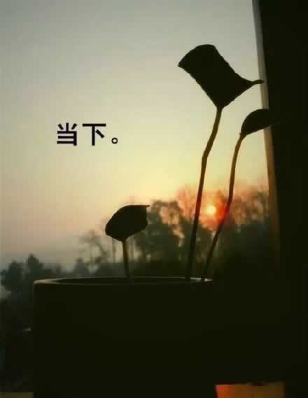 不能出金是什么意思咋整(图)