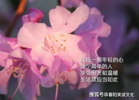 网上黑平台通道维护一直升级办法有哪些（图）