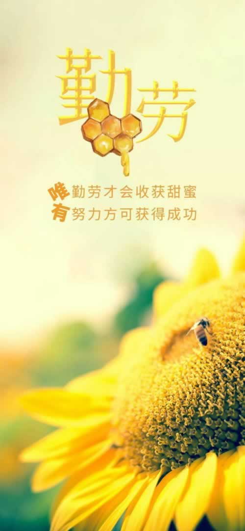 网站平台不出款注意什么(图)