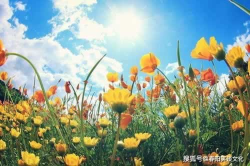 被黑不给提款说通道维护异常不给出款如何解决(图)