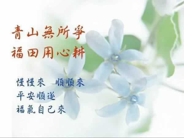 怎么让黑平台解冻我的账户 补救措施(图)