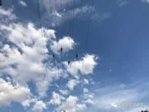 网络上说我异常一直提款失败 解决方案（图）