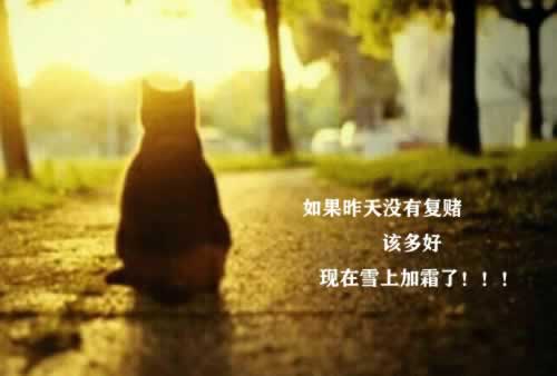 王头被坑充值相同金额出款不能到账咋办 应对策略(图)