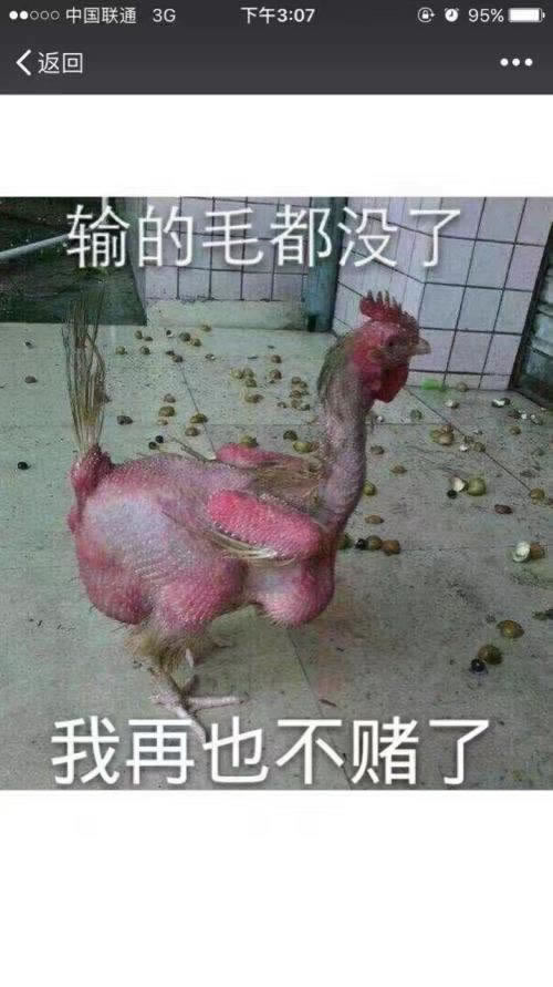 哪里有出黑团队可以帮你解决(图)